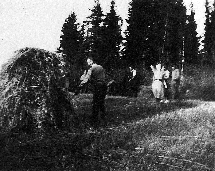 PRH:n väkeä heinätalkoissa Sipoossa PRH:n perustamisvuonna 1942.